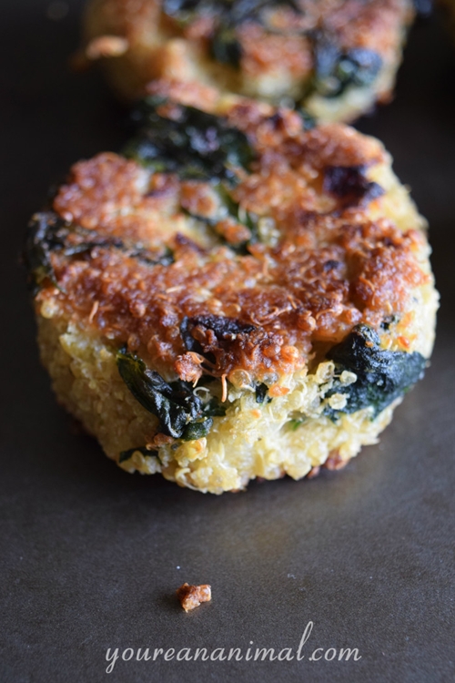 Quinoa and Spinach Patties (GlutenFree) recipe Chefthisup